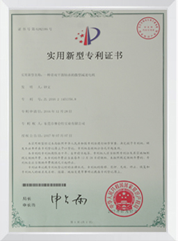 一种带减震装置的减速电机专利证书